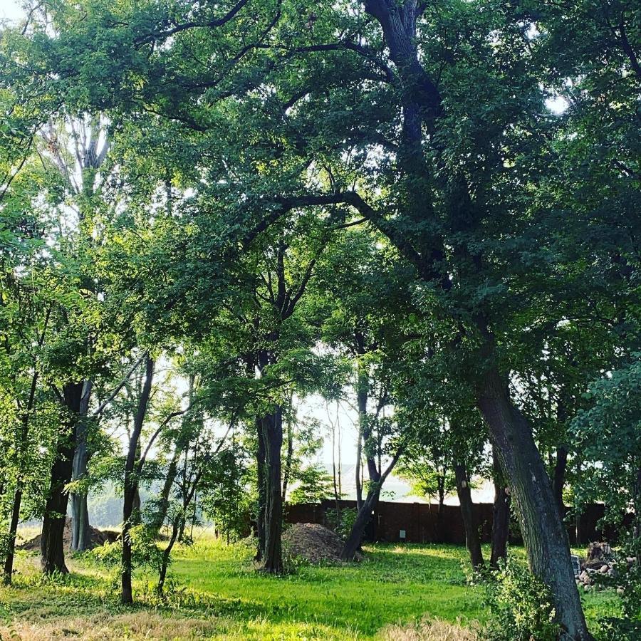 Palac Osowo Gostynskie Exterior foto